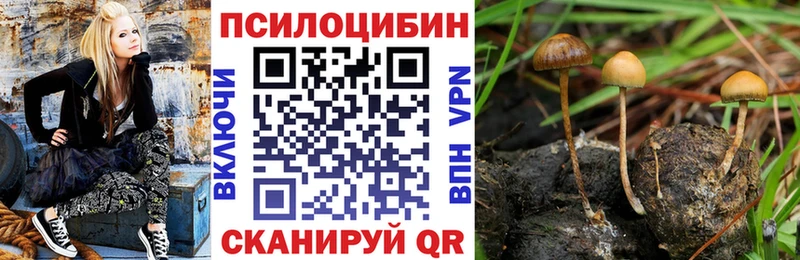 Псилоцибиновые грибы мицелий  hydra ссылки  Никольское 